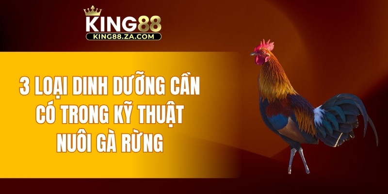 3 loại dinh dưỡng cần có trong kỹ thuật nuôi gà rừng