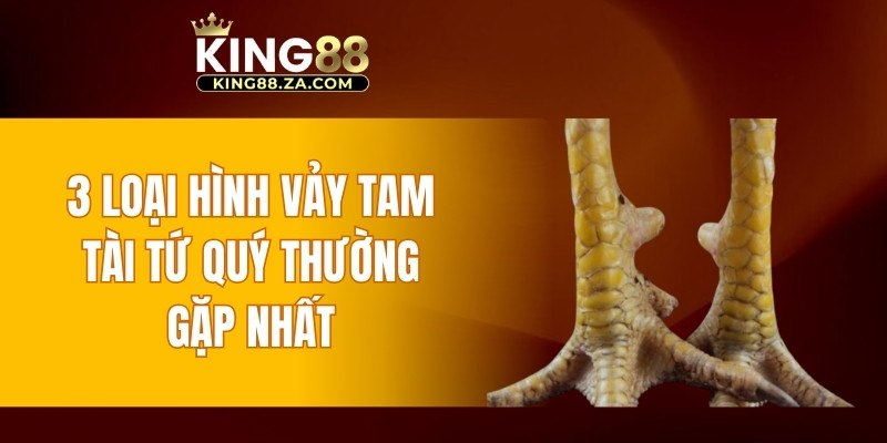 3 loại hình vảy Tam Tài Tứ Quý thường gặp nhất