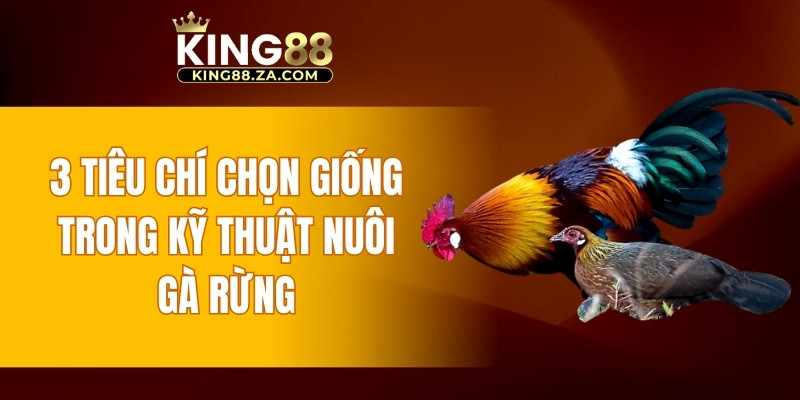 3 tiêu chí chọn giống trong kỹ thuật nuôi gà rừng