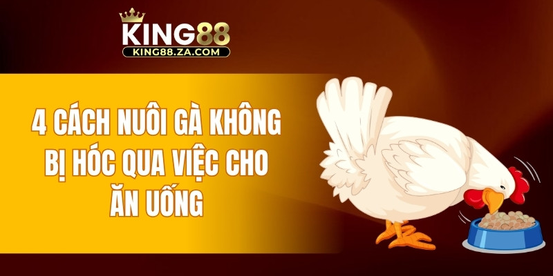 4 cách nuôi gà không bị hóc qua việc cho ăn uống