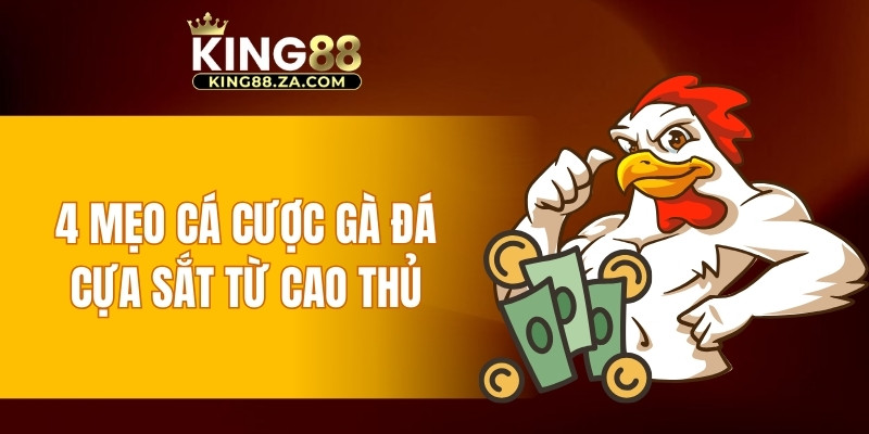 4 mẹo cá cược gà đá cựa sắt từ cao thủ
