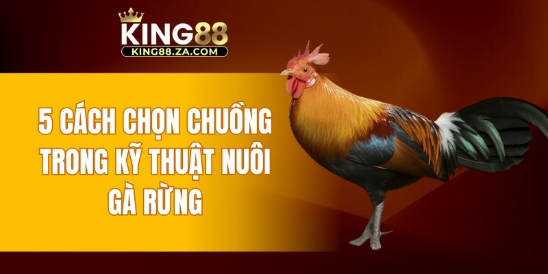 5 cách chọn chuồng trong kỹ thuật nuôi gà rừng