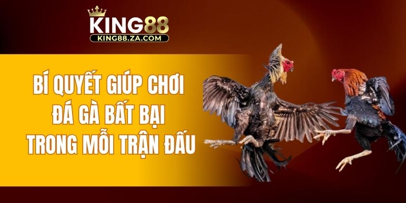 Bí quyết giúp chơi đá gà bất bại trong mỗi trận đấu