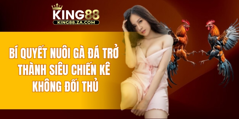 Bí quyết nuôi gà đá