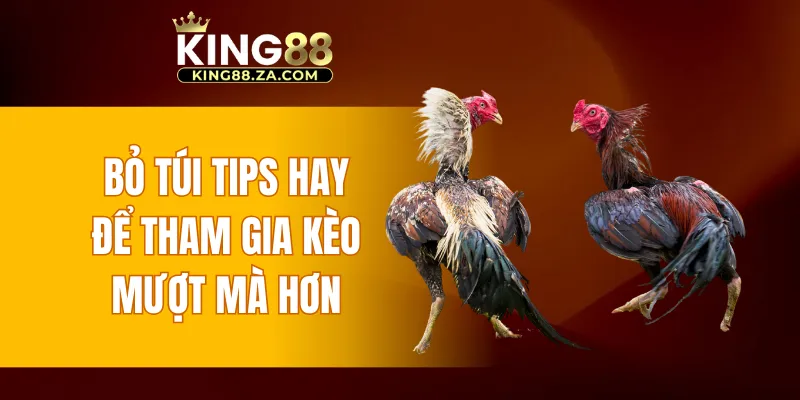 Bỏ túi tips hay để tham gia kèo mượt mà hơn