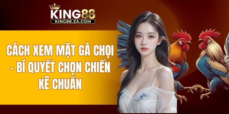 Cách xem mặt gà chọi