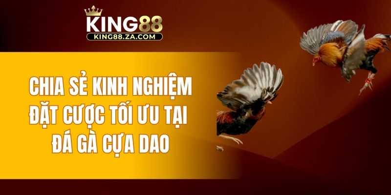 Chia sẻ kinh nghiệm đặt cược tối ưu tại đá gà cựa dao