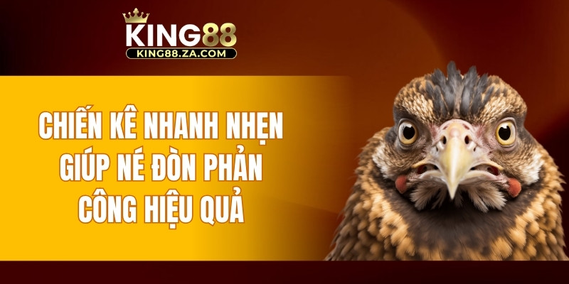 Chiến kê nhanh nhẹn giúp né đòn phản công hiệu quả