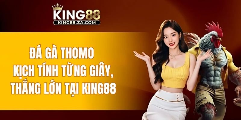 đá gà Thomo