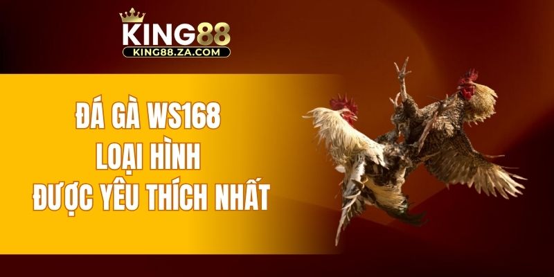 Đá gà WS168 loại hình được yêu thích nhất