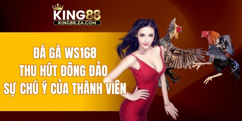 Đá gà WS168