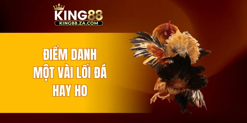 Điểm danh một vài lối đá hay ho