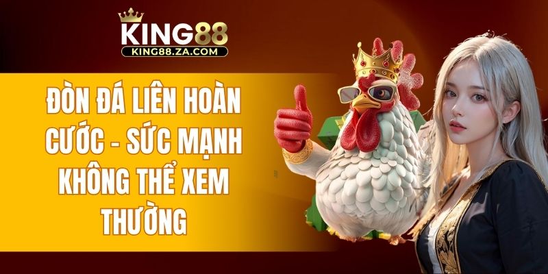 đòn đá liên hoàn cước