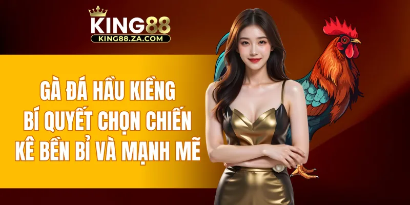 gà đá hầu kiểng