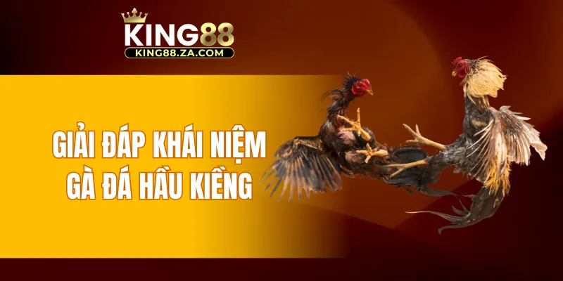 Giải đáp khái niệm gà đá hầu kiềng
