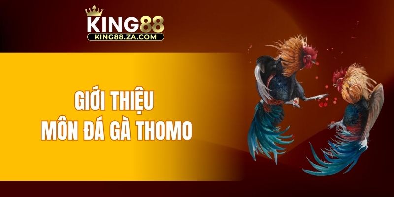 Giới thiệu môn đá gà Thomo