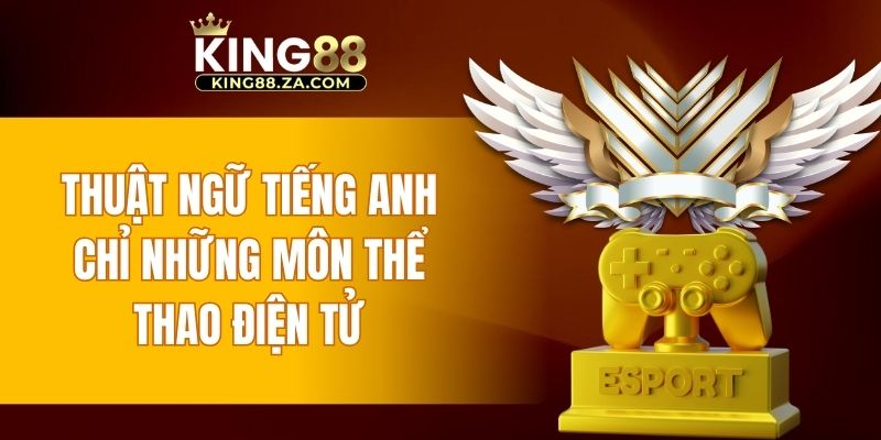 Hình thức đặt cược sở hữu tỷ lệ chấp riêng