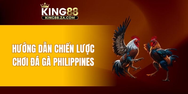 Hướng dẫn chiến lược chơi đá gà Philippines