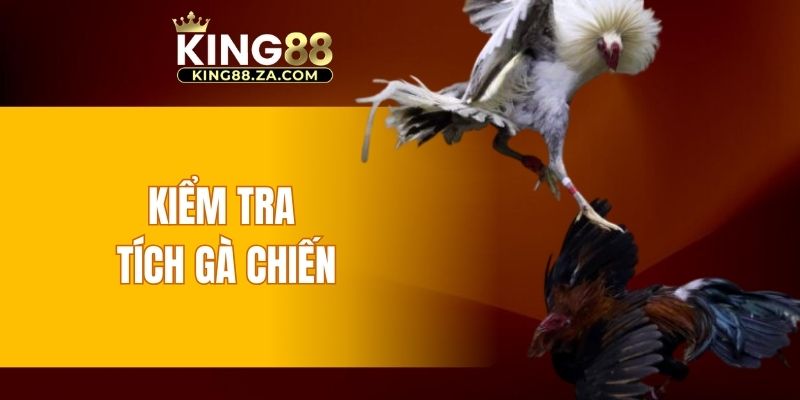 Kiểm tra tích gà chiến