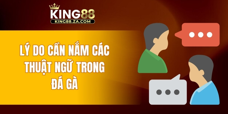 Lý do cần nắm các thuật ngữ trong đá gà