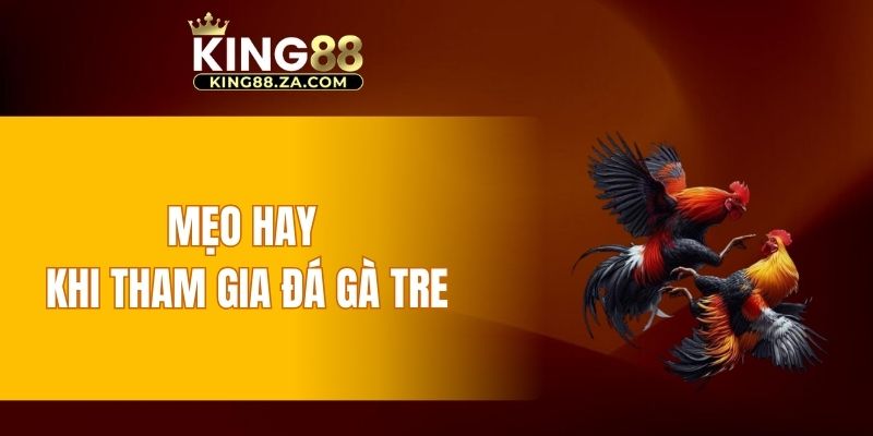 Mẹo hay khi tham gia đá gà tre