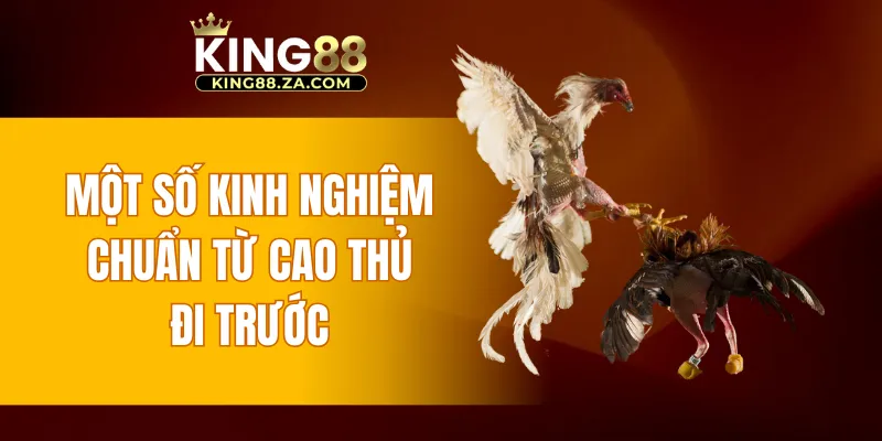 Một số kinh nghiệm chuẩn từ cao thủ đi trước