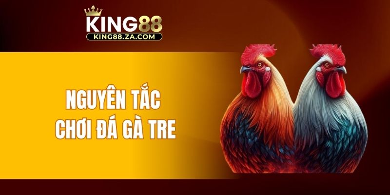 Nguyên tắc chơi đá gà tre