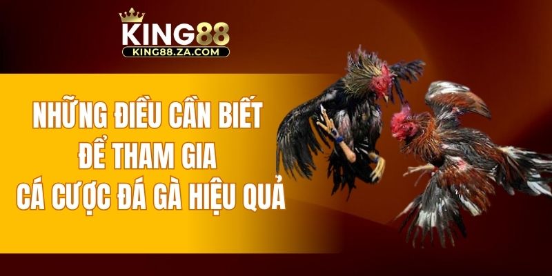 Những điều cần biết để tham gia cá cược đá gà hiệu quả