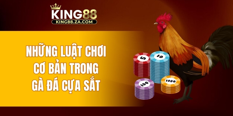 Những luật chơi cơ bản trong gà đá cựa sắt