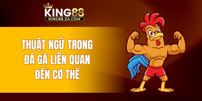 Thuật ngữ trong đá gà liên quan đến cơ thể