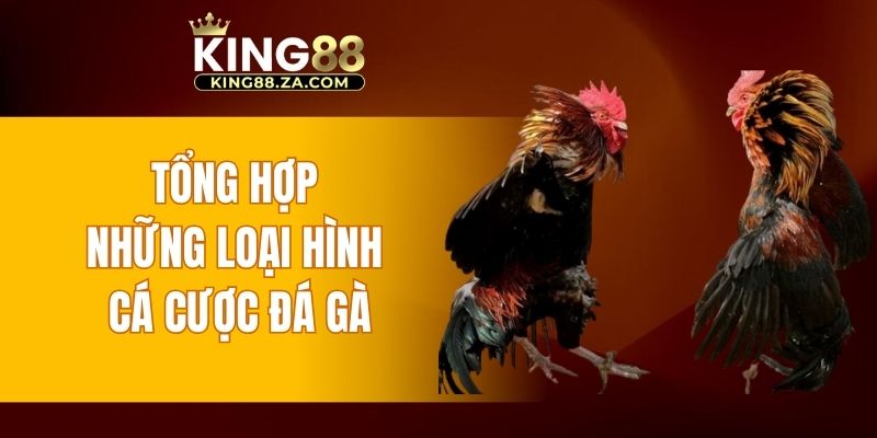Tổng hợp những loại hình cá cược đá gà