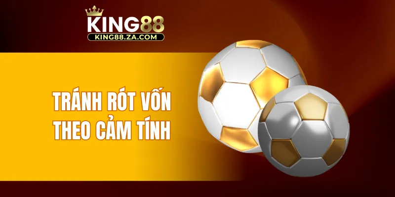 Tránh rót vốn theo cảm tính