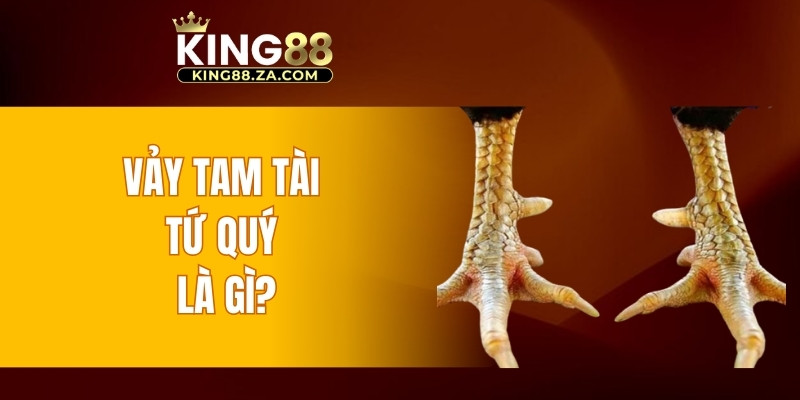 Vảy Tam Tài Tứ Quý là gì?