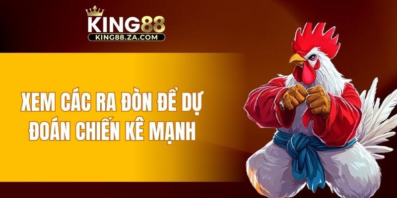 Xem các ra đòn để dự đoán chiến kê mạnh
